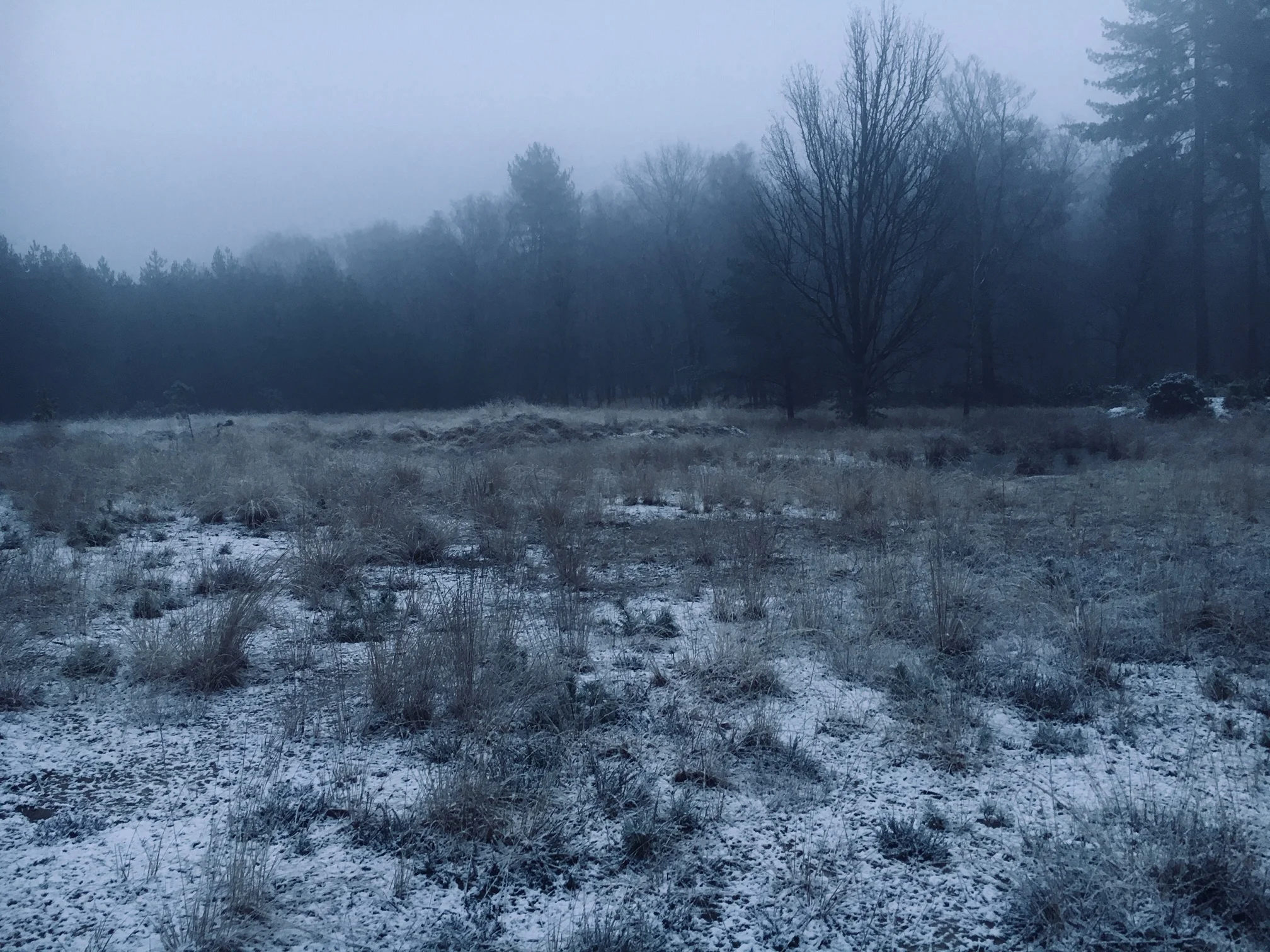 Alleen leeg ben je in evenwicht