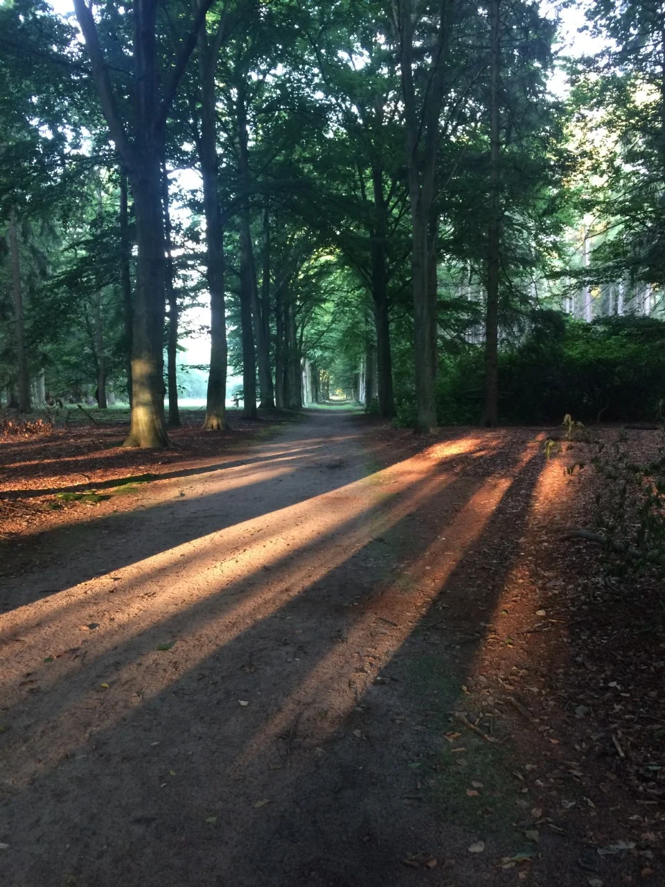 L'espace entre deux pensées