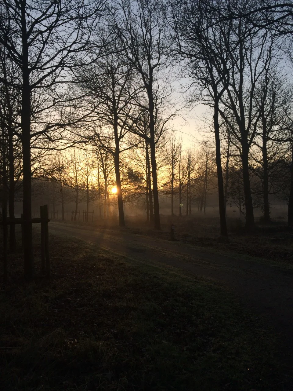 Le sens de notre souffrance