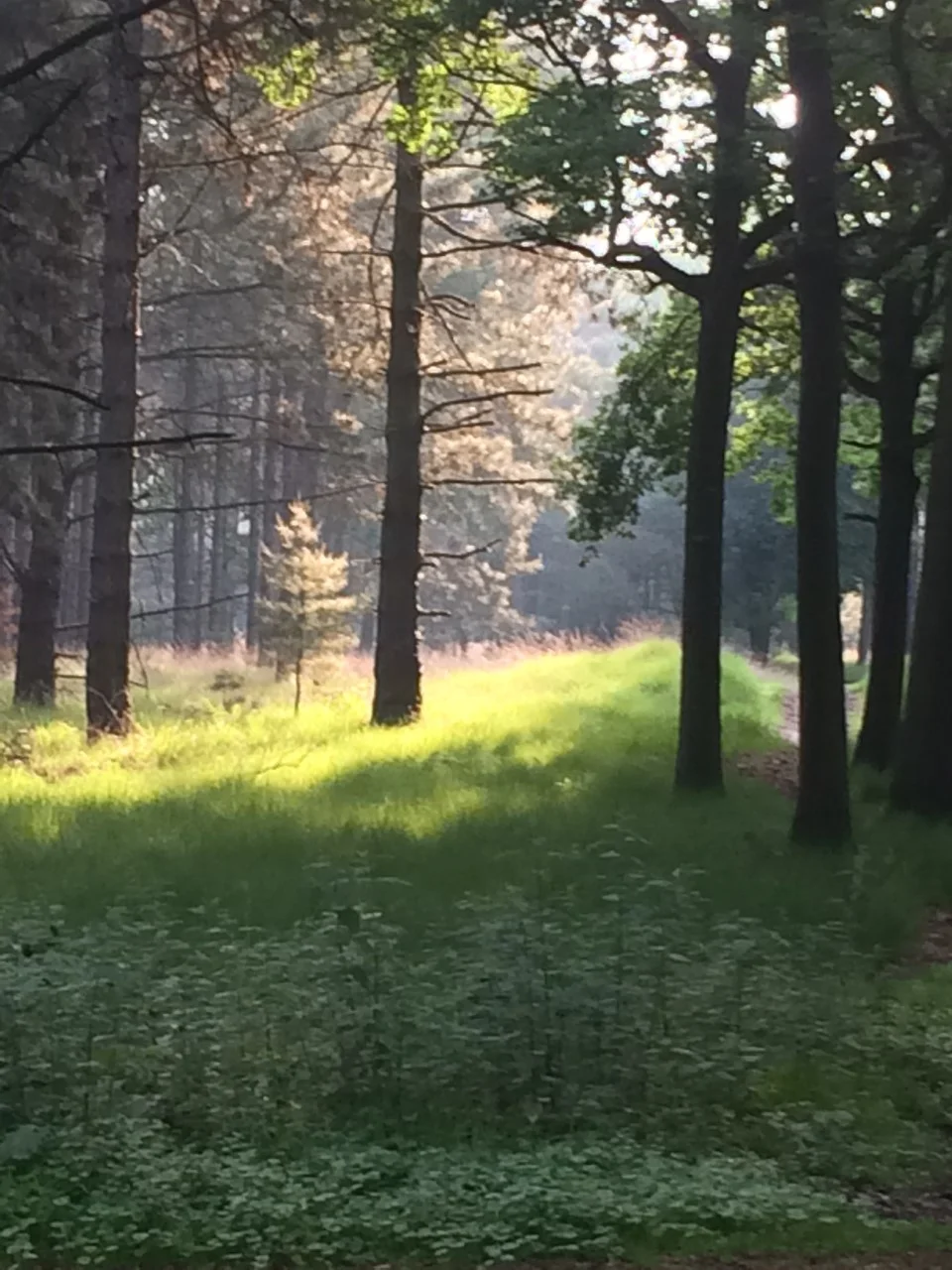 La variété des perceptions