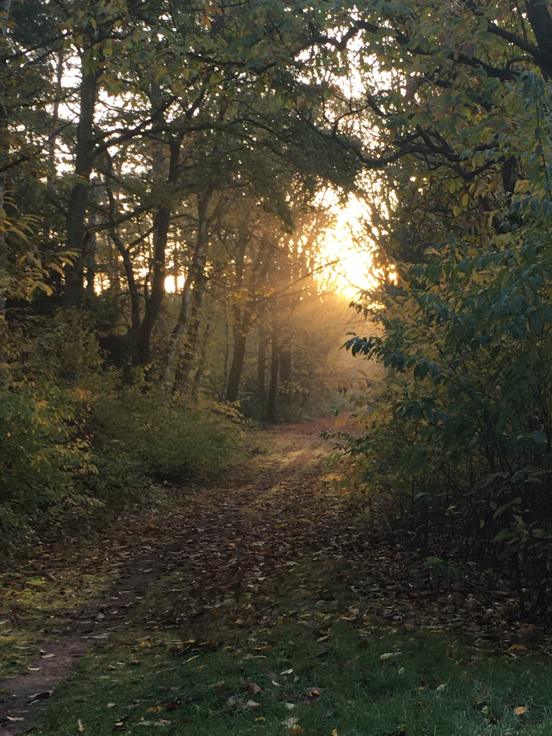Zorgen zonder zorgen