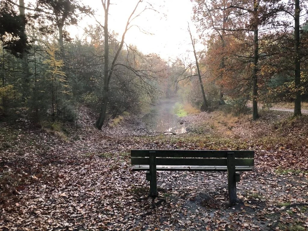 Een mooie ontmoeting