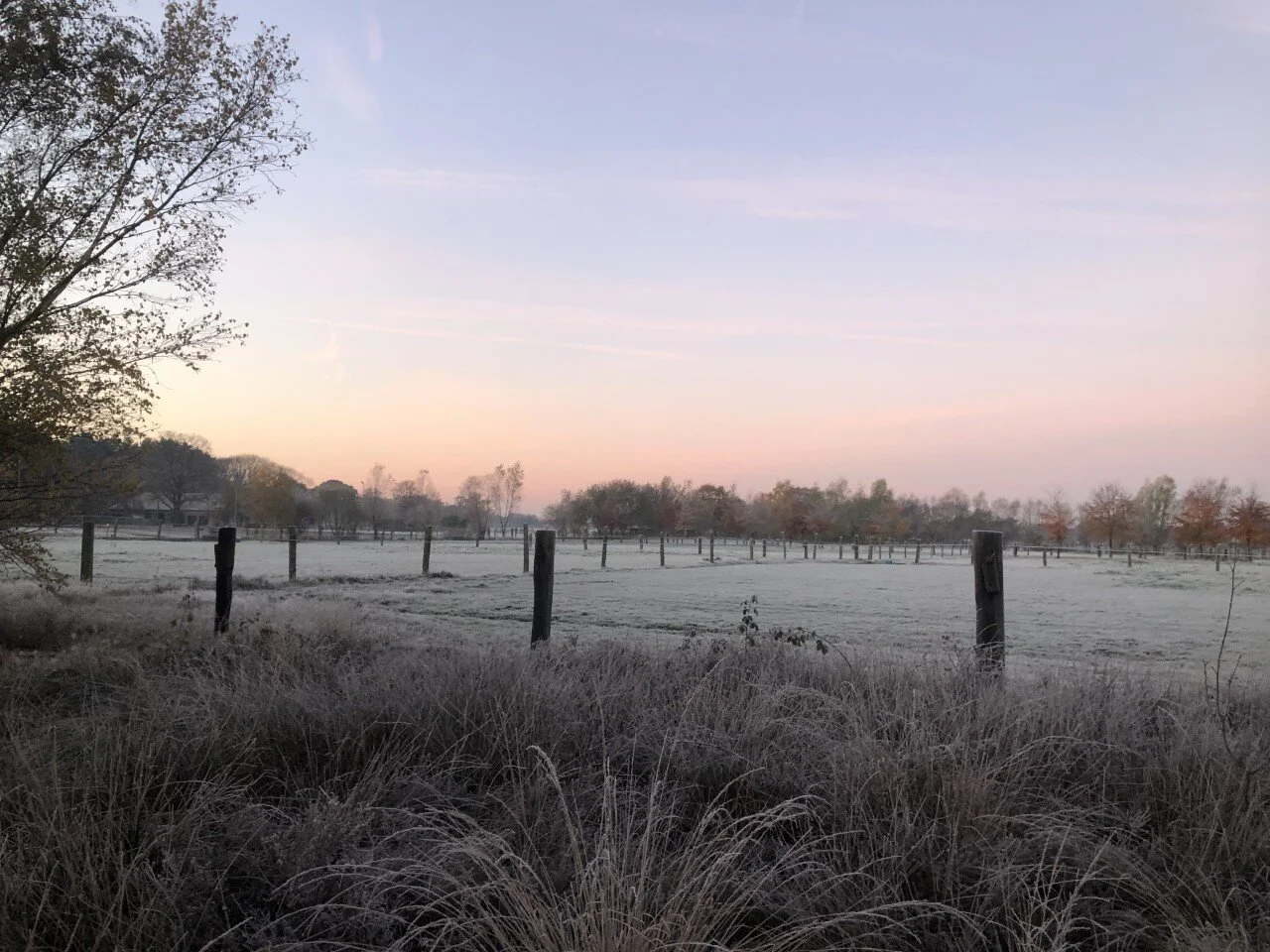 De pijn van zinloosheid