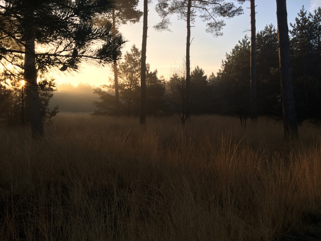 De zevensprong