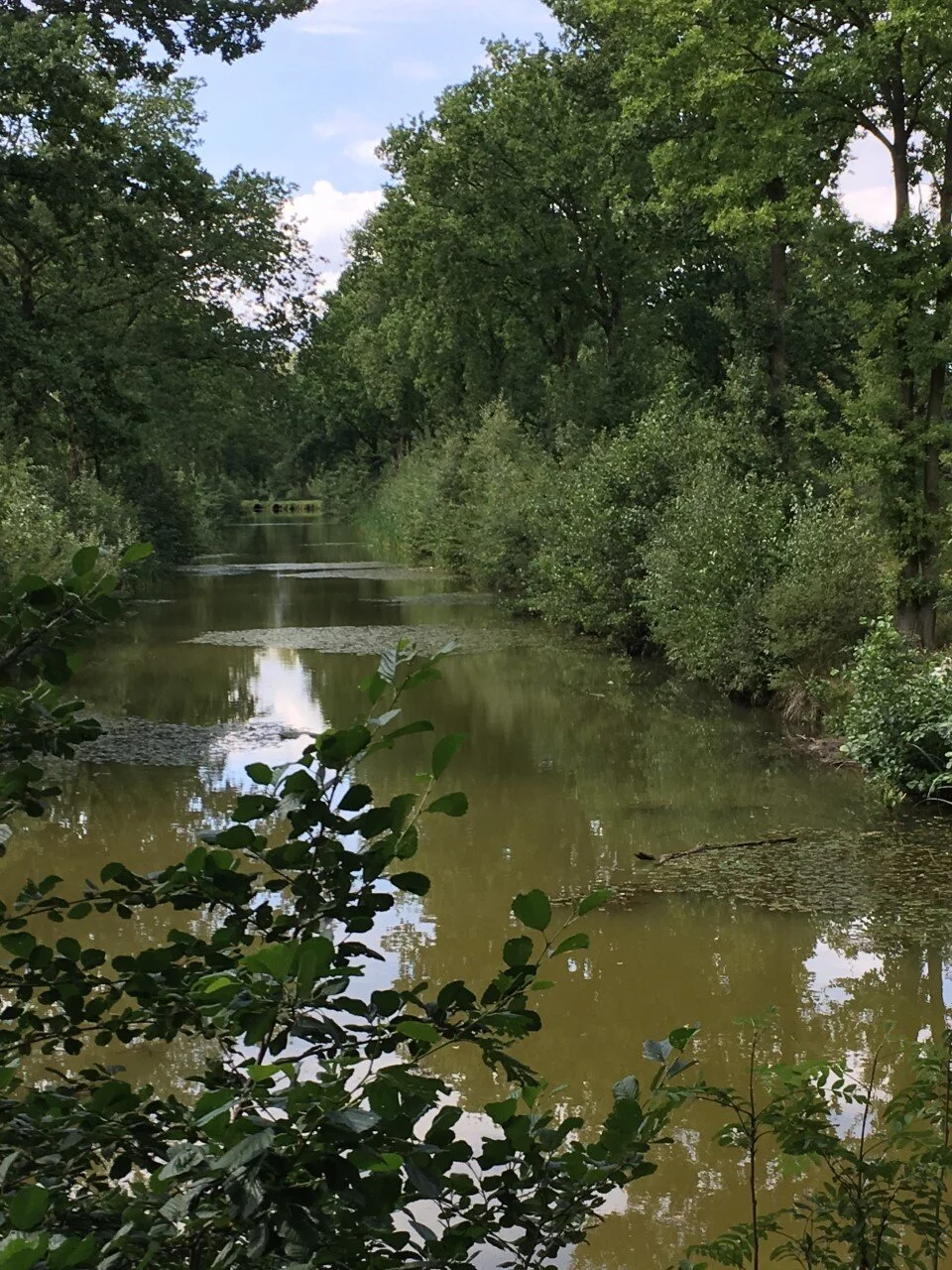 Tonglen. Het geneesmiddel.