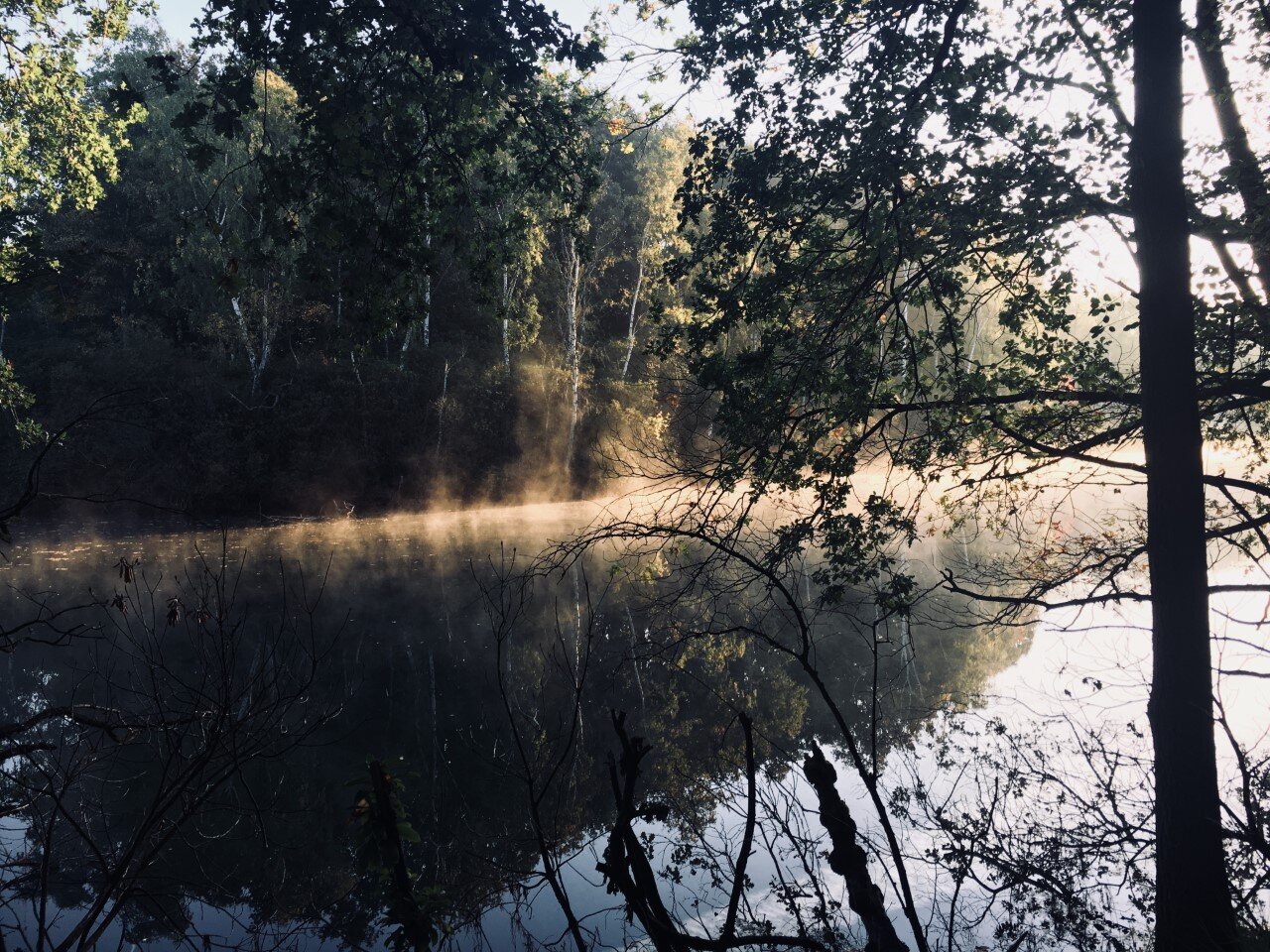 Verdwijnen is verschijnen