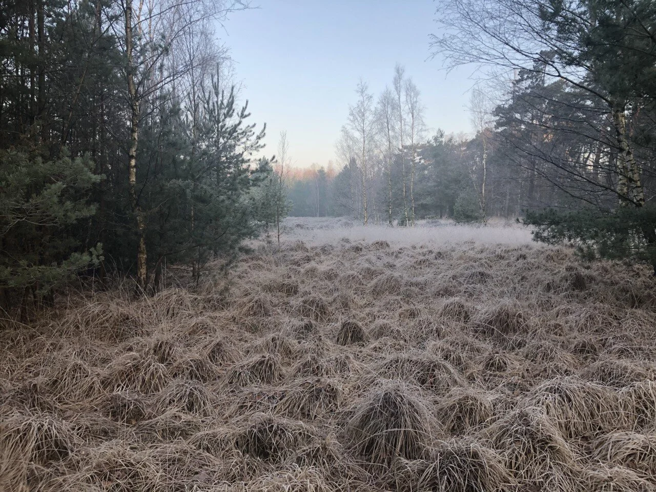 (Ge) weten