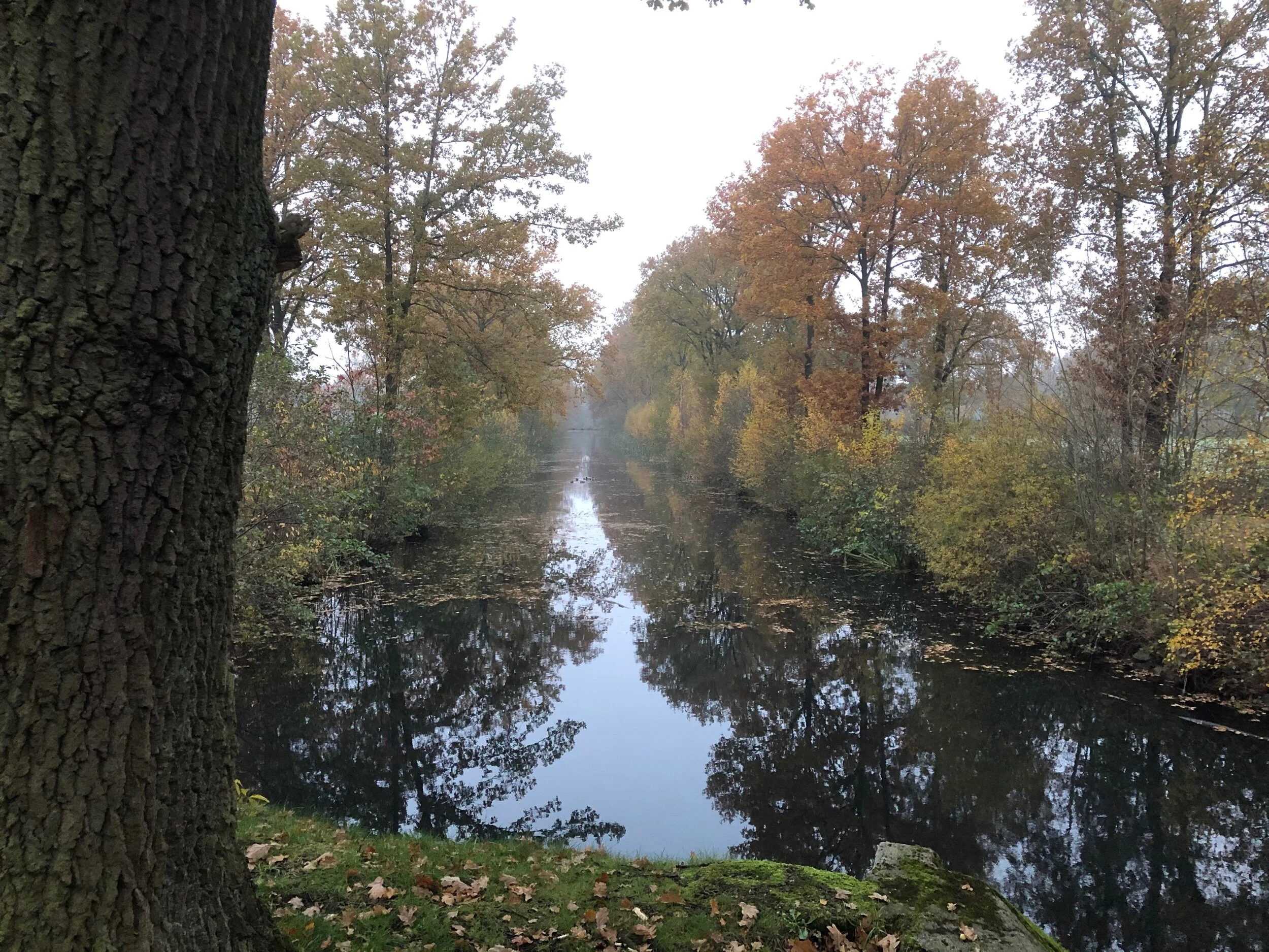 L'espace entre deux pensées