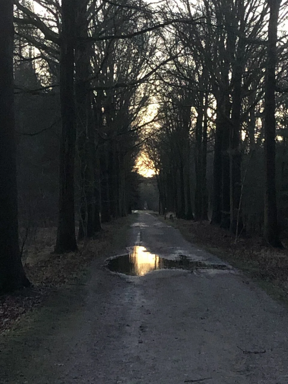 Les jumeaux
