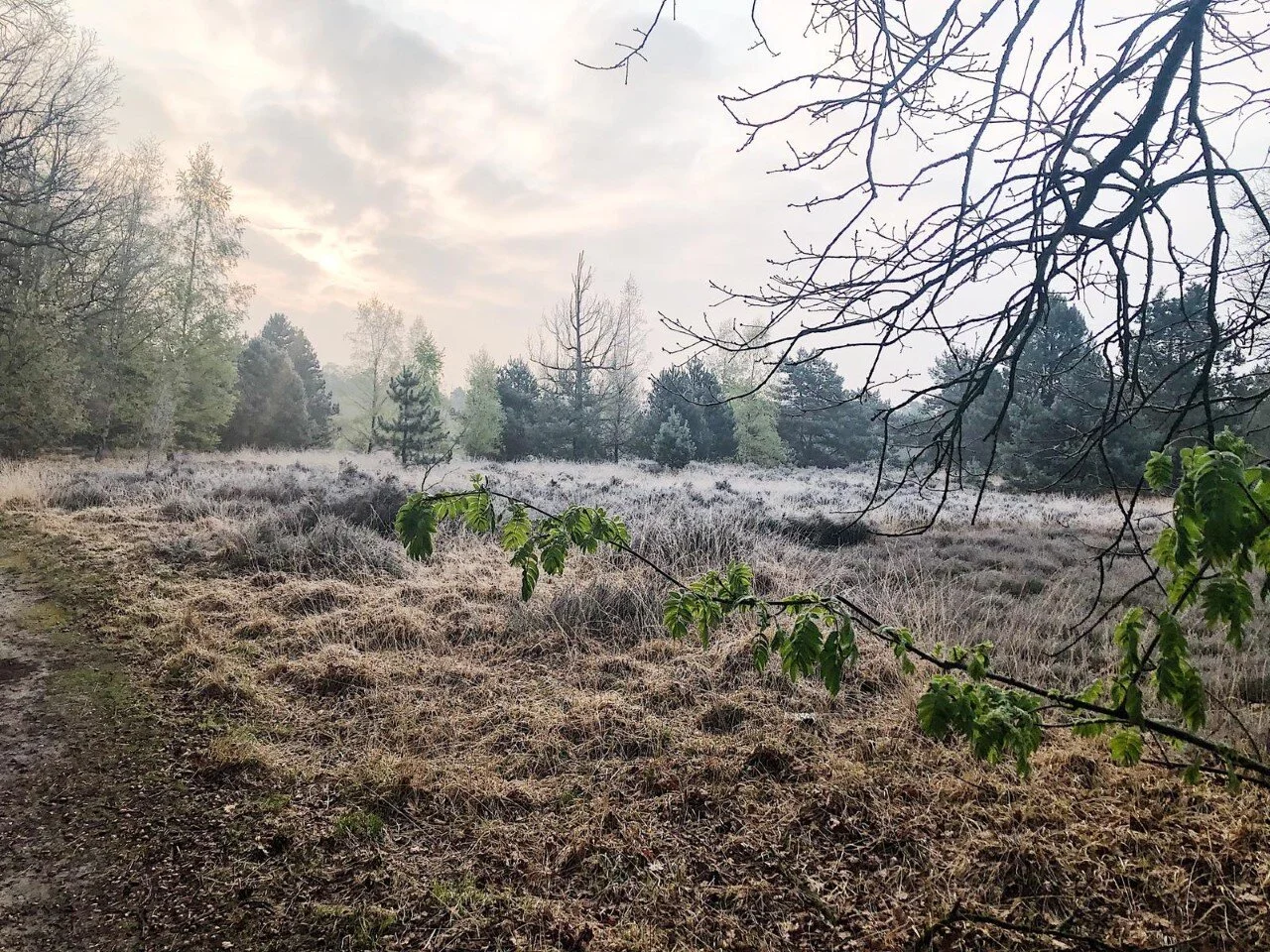 La liberté est notre prison