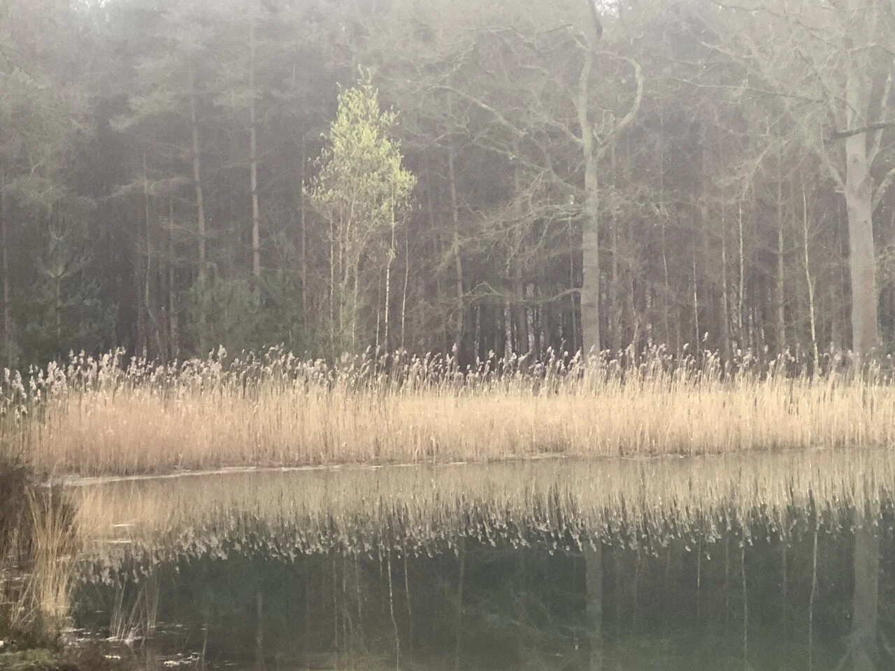 De wereld veranderen