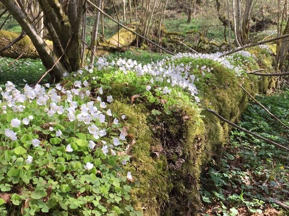 Derrière les nuages&nbsp;
