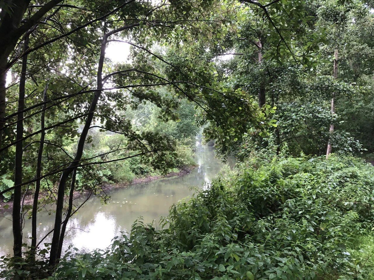 La méditation transforme