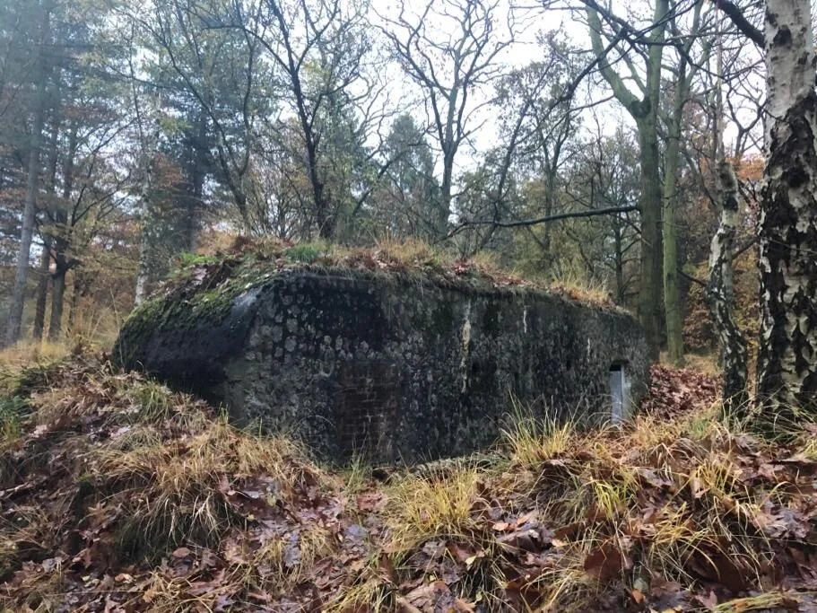 Onweerstaanbare drang