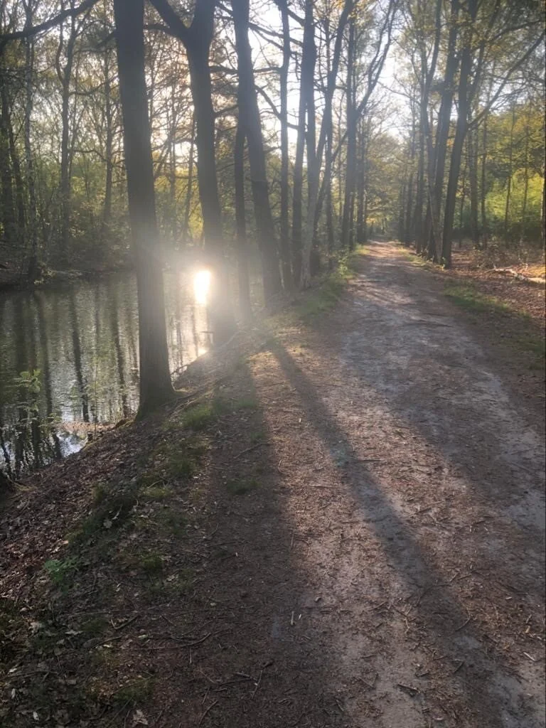 De stilte van je hart