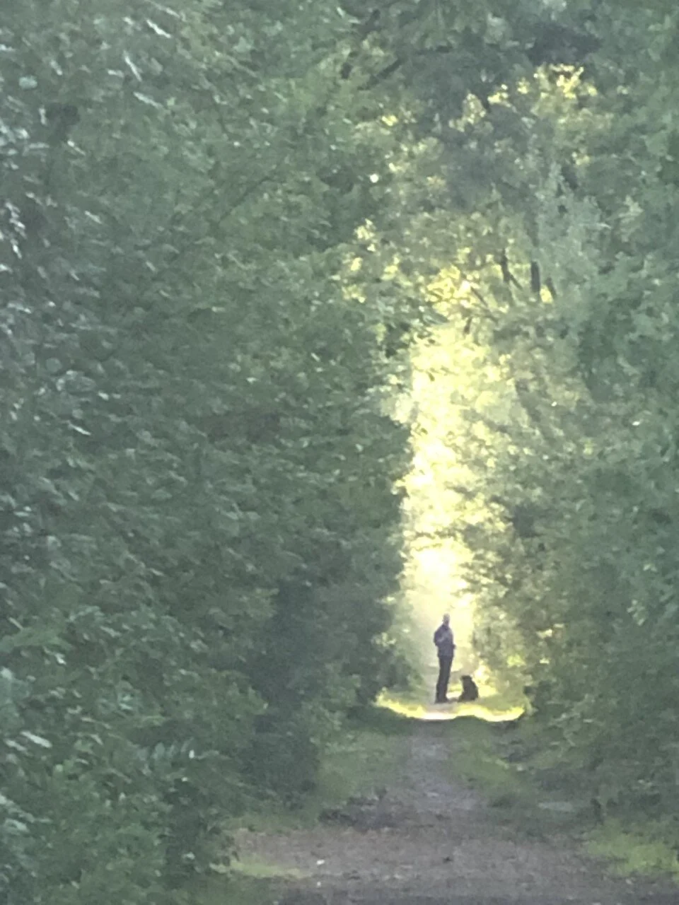 Avoir et être