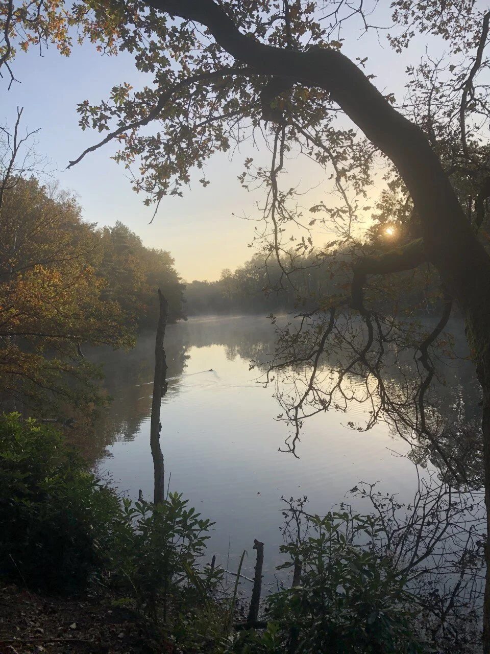 De werkelijkheid is één.