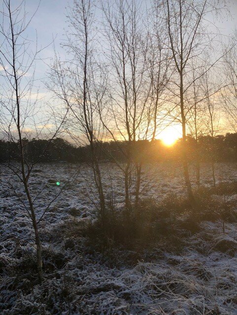 Trois étapes de l'être.