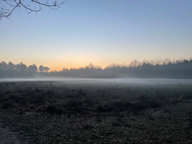 Zwarte woorden&nbsp;