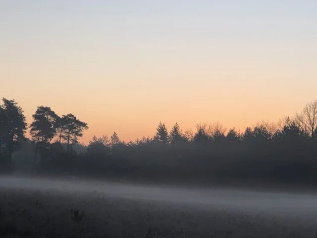 Zie het niet te klein