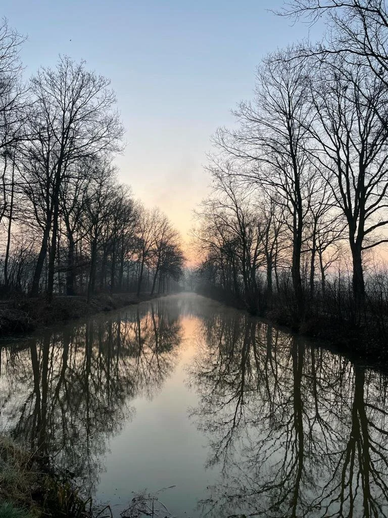 Verdragen Veranderen vertrekken&nbsp;