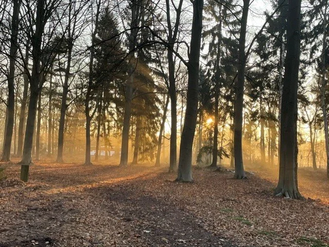 Ne pensez pas que c'est trop petit