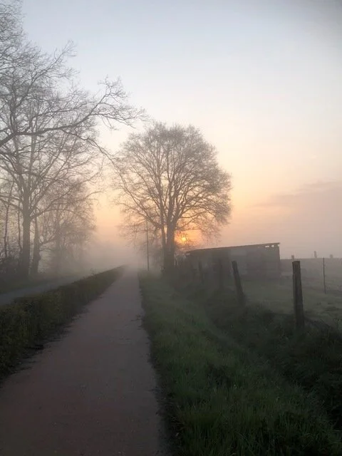 De specht
