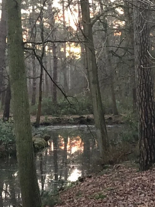 Afhankelijk- aanhankelijk.