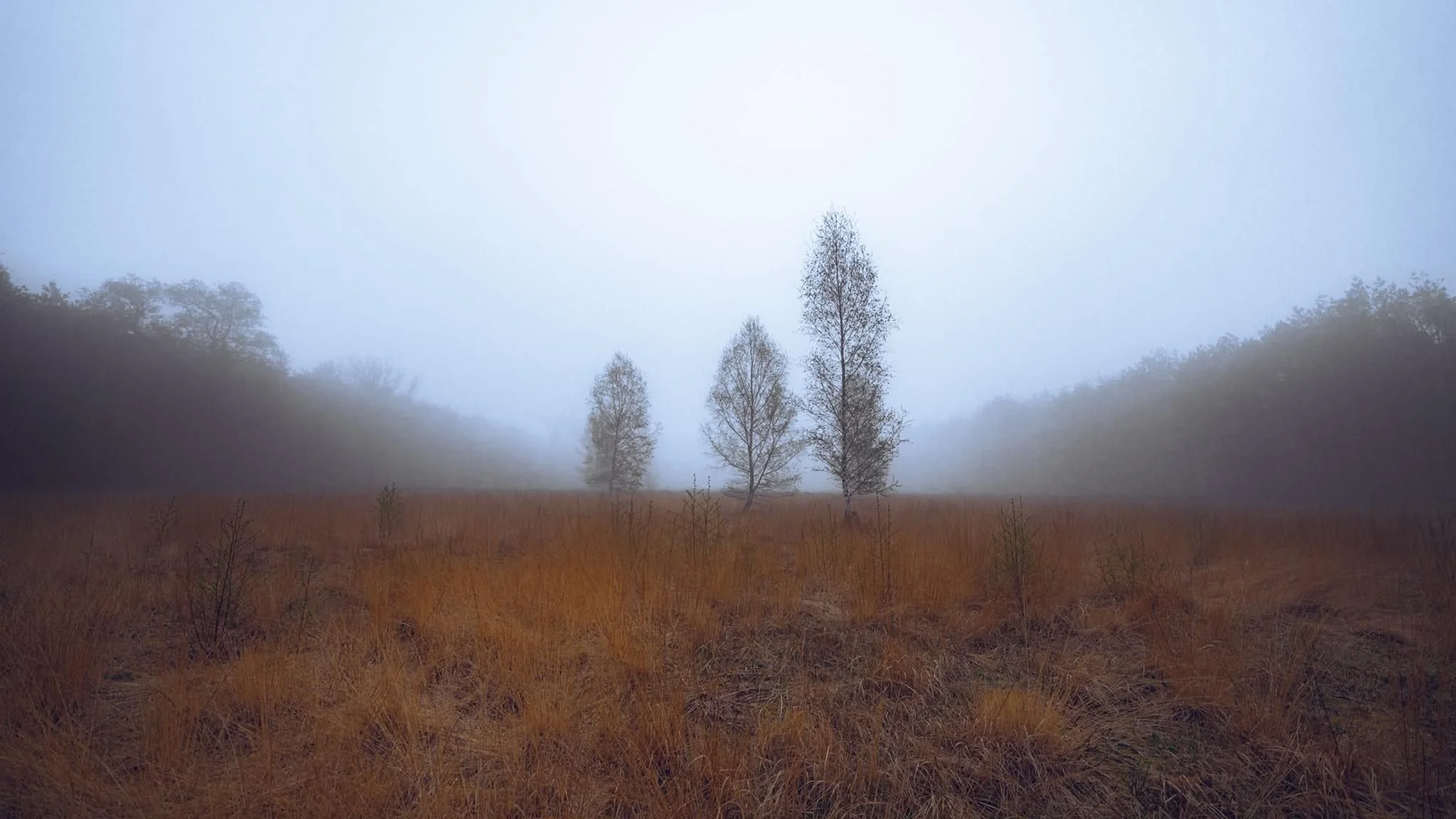 Door de spiegel kijken