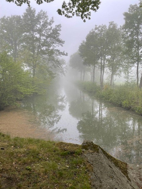 Le revers de la médaille