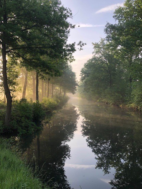 Bewustzijn groeit
