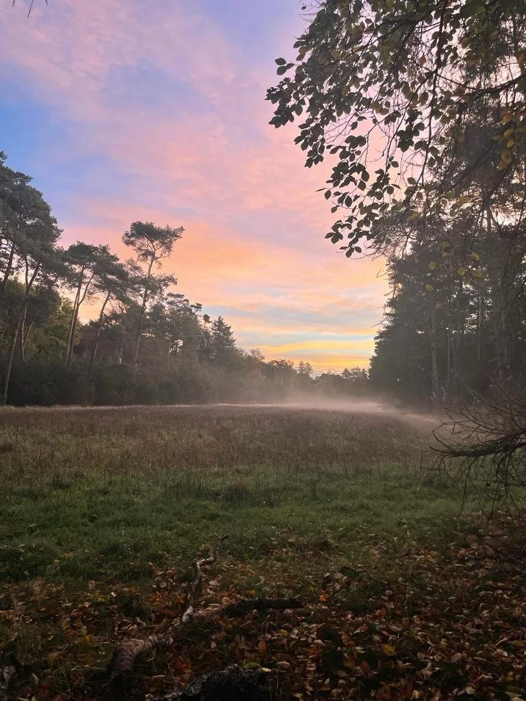 Stilte een bewustzijnsvorm
