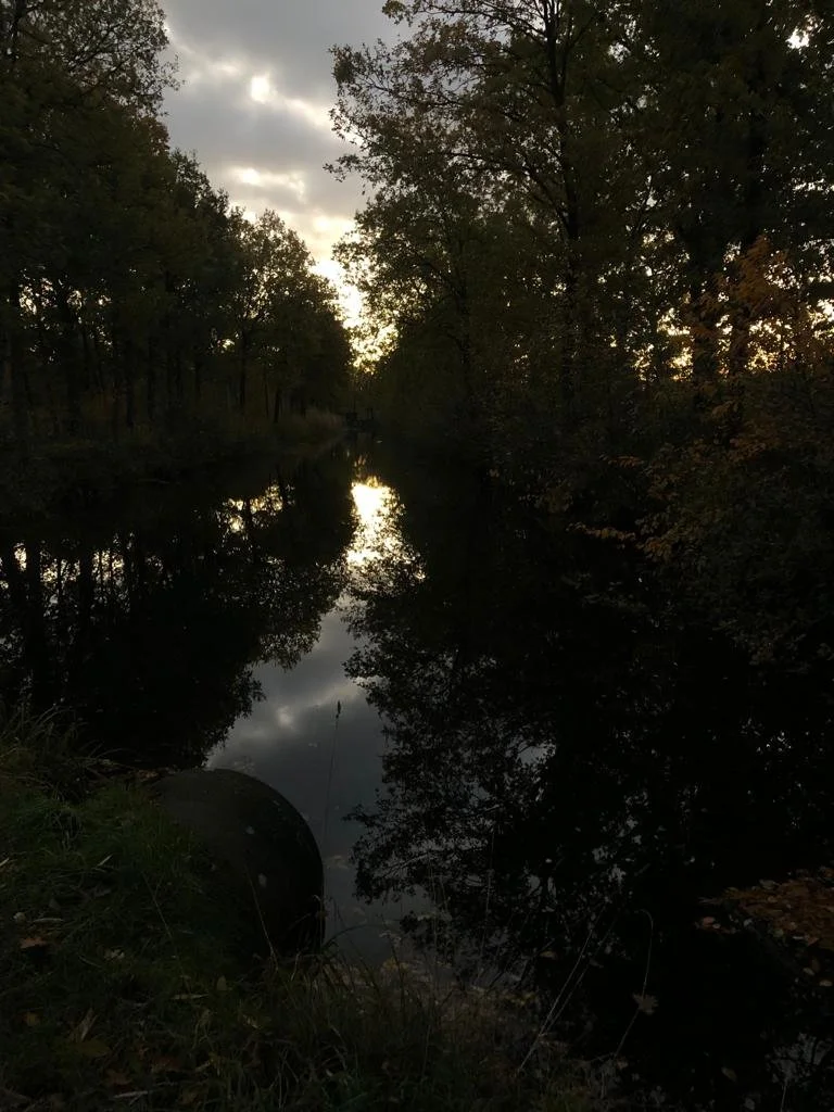 Drijvende herinneringen