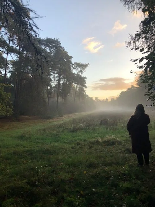 Positief , Posi- lief