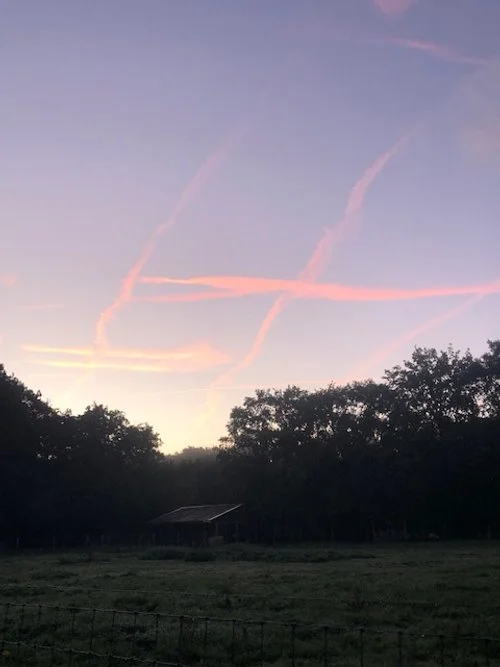 Incroyablement vulnérable