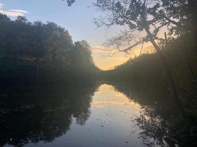 Un silence insupportable