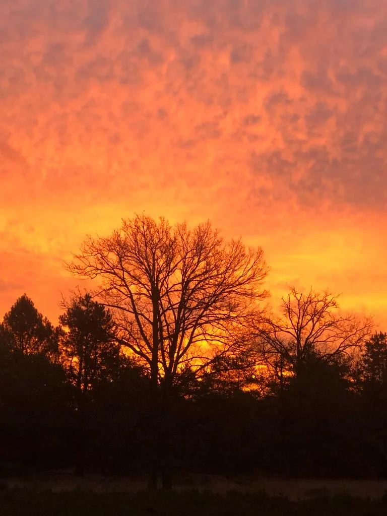 L'alchimiste de la joie