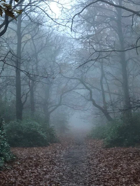 Goûter les couleurs