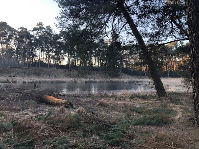 De weg naar de wijsheid
