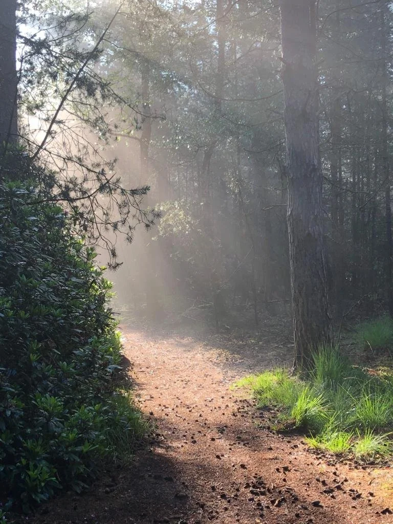 Niets is de bron van het iets.