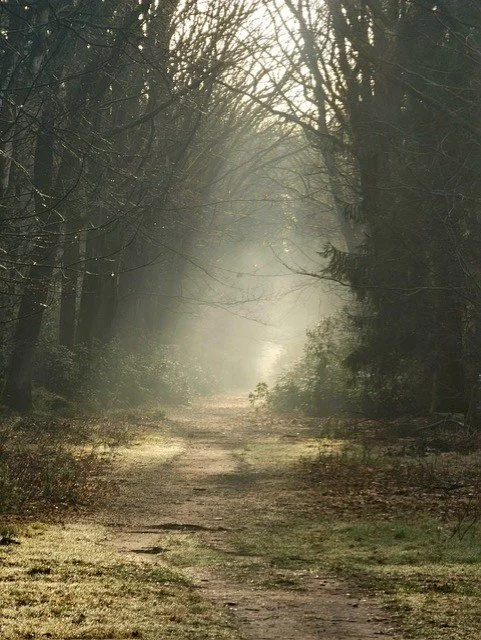 Leer “neen“ zeggen