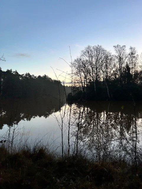 De verwarring