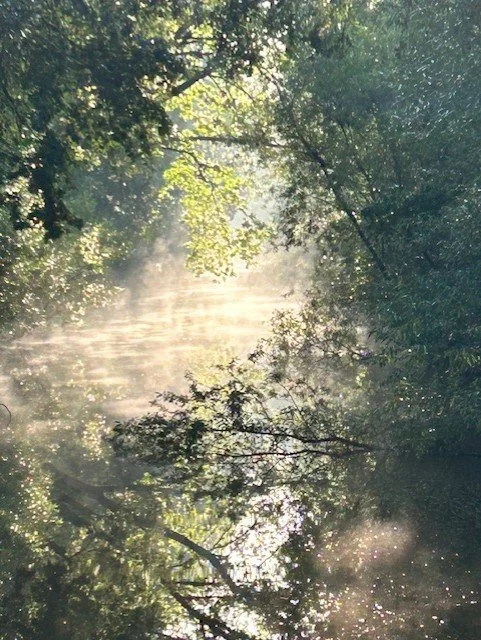 Bewust zijn is het universele weten