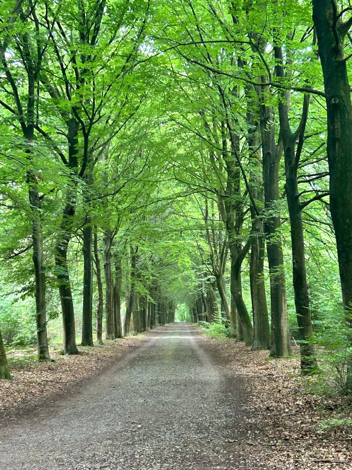 Votre professeur intérieur