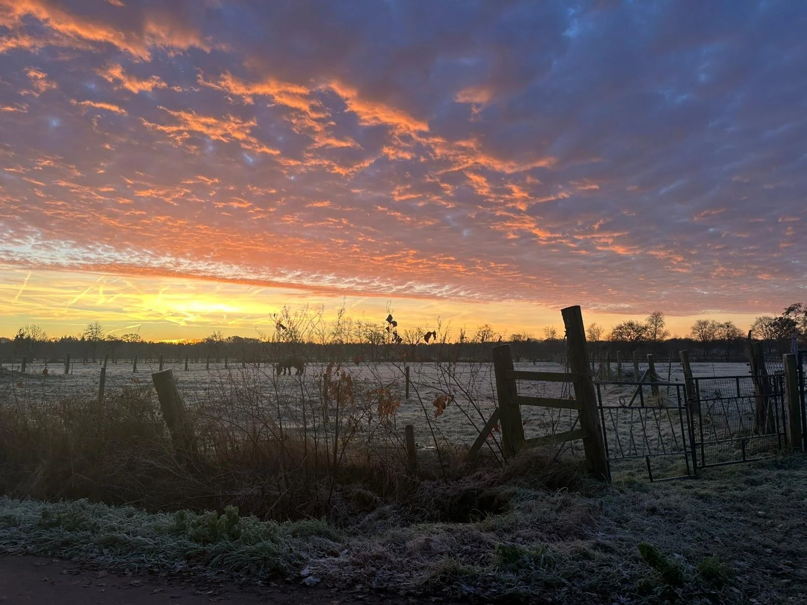Le moment présent temporaire