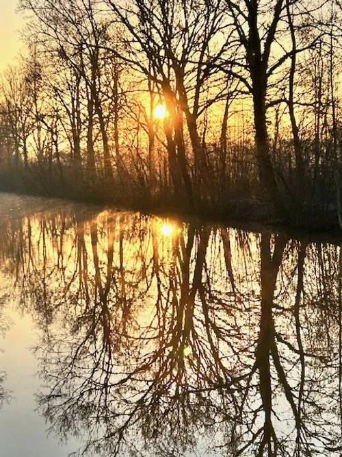 Onze ziekte geneest ons