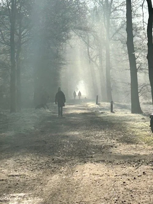 De geest ontdekt zichzelf 