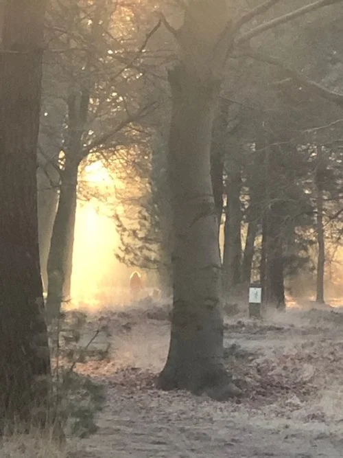 Een andere staat van bewustzijn