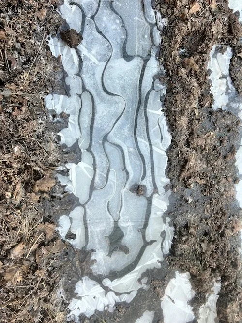 La mission de la philosophie