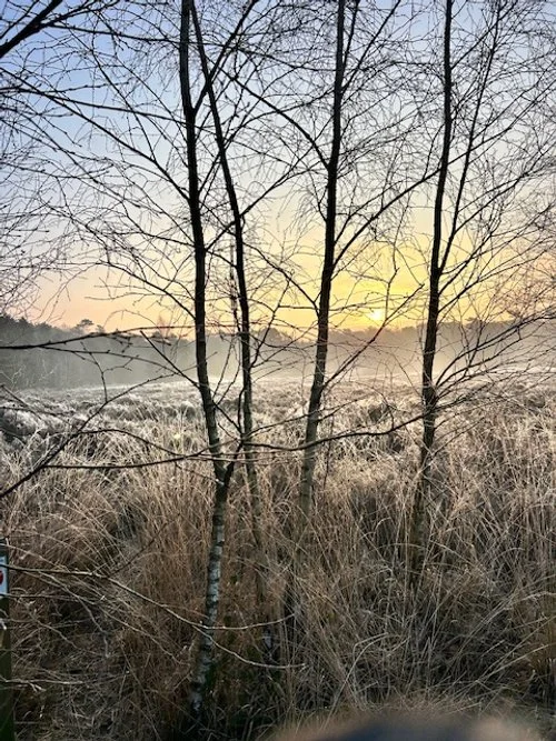 Le but de la méditation